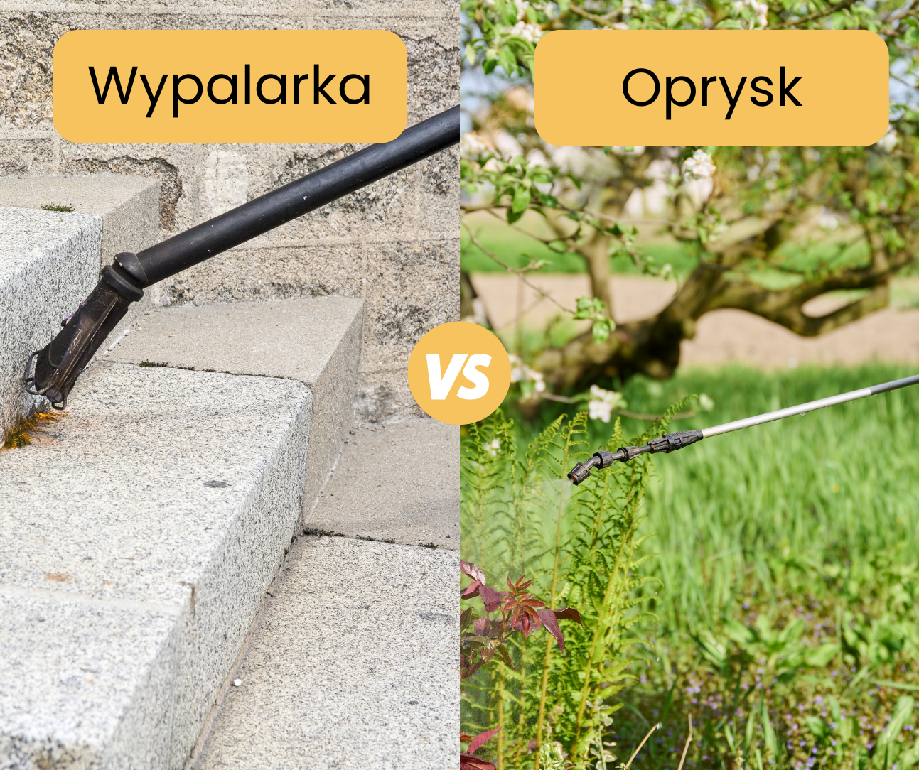 wypalarka do chwastó czy oprysk do chwastów