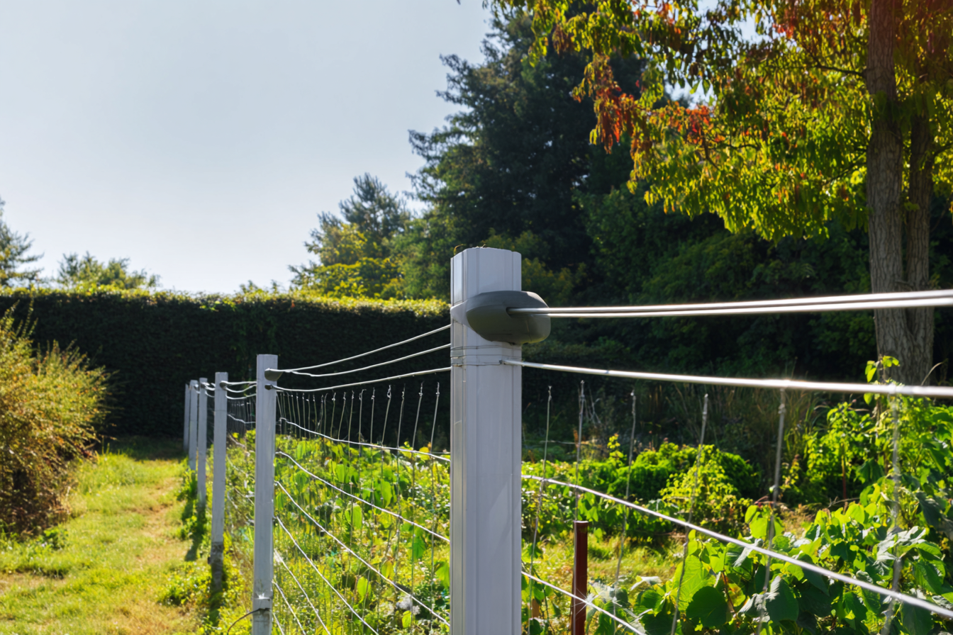 Pastuch elektryczny jako skuteczna metoda ochrony ogrodu przed kuną.