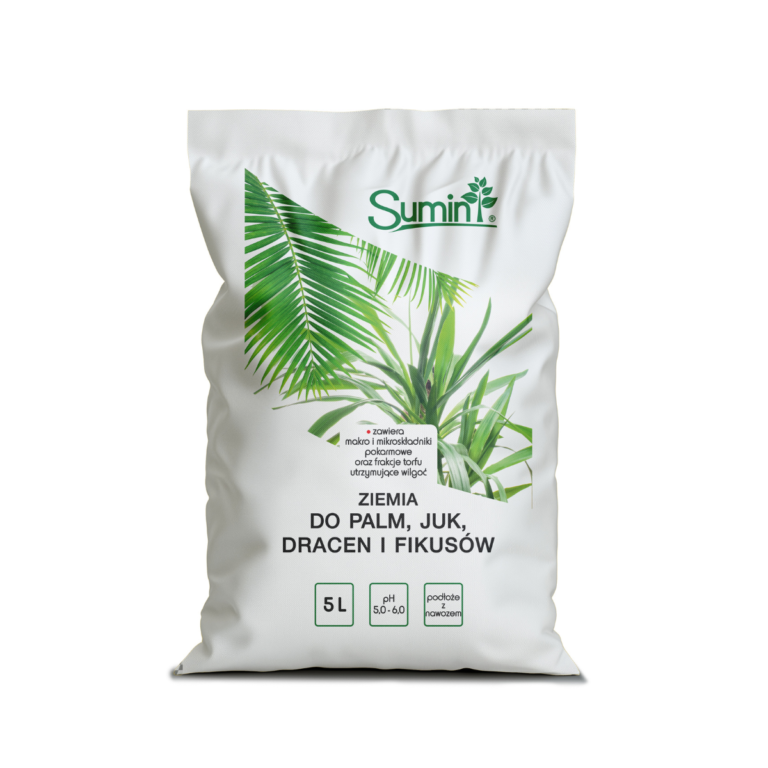 ZIEMIA DO PALM_5 l_27.03.2025